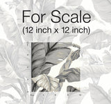 Wallpaper Banana Leaf Peel & Stick Wallpaper // White & Black