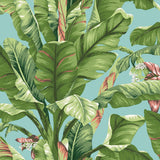 Wallpaper Banana Leaf Wallpaper // Aqua & White