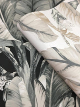 Wallpaper Banana Leaf Wallpaper // Black & White