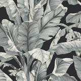 Wallpaper Banana Leaf Wallpaper // Black & White