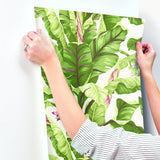 Wallpaper Banana Leaf Wallpaper // Magenta