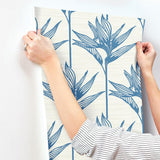 Wallpaper Bird of Paradise Wallpaper // Blue