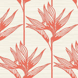 Wallpaper Bird of Paradise Wallpaper // Coral