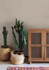 Wallpaper Boucle Wallpaper // Coral