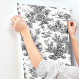 Wallpaper Champagne Toile Wallpaper // Black & White