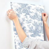 Wallpaper Champagne Toile Wallpaper // Blue & White