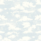 Wallpaper Cloud Cover Wallpaper // Blue