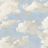 Wallpaper Clouds on Canvas Peel & Stick Wallpaper // Blue