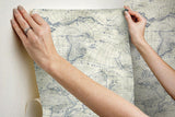Wallpaper Coastal Map Peel & Stick Wallpaper // Blue & Beige