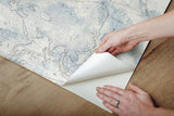 Wallpaper Coastal Map Peel & Stick Wallpaper // Blue & Grey