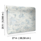 Wallpaper Coastal Map Peel & Stick Wallpaper // Blue & Grey