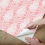 Wallpaper Colony Club Peel & Stick Wallpaper // Shell Pink