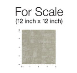 Wallpaper Conservation Wallpaper // Grey