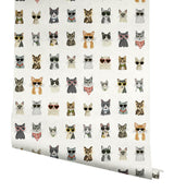 Wallpaper Cool Cats Peel & Stick Wallpaper // Multi White