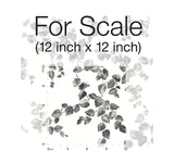 Wallpaper Creeping Fig Vine Wallpaper // Black & White