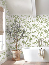 Wallpaper Creeping Fig Vine Wallpaper // Green