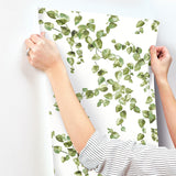 Wallpaper Creeping Fig Vine Wallpaper // Green
