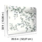 Wallpaper Creeping Fig Vine Wallpaper // Sage