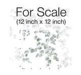 Wallpaper Creeping Fig Vine Wallpaper // Sage