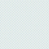 Wallpaper Diamond Gate Wallpaper // Blue & White