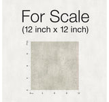 Wallpaper Edifice Wallpaper // Light Grey