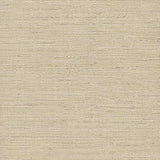 Wallpaper Essence Wallpaper // Beige