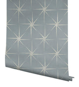 Wallpaper Evening Star Wallpaper // Blue