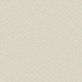 Wallpaper Galaxies Peel & Stick Wallpaper // Beige