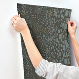 Wallpaper Gilded Confetti Wallpaper // Charcoal