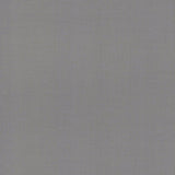 Wallpaper Gossamer Woven Wallpaper // Silver & Blue