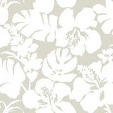 Wallpaper Hibiscus Arboretum Wallpaper // Cream
