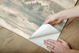 Wallpaper High Tide Peel & Stick Wallpaper // Taupe & Blue