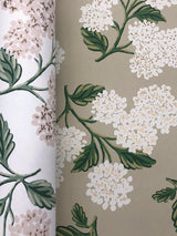 Wallpaper Hydrangea Wallpaper // Beige & Pink