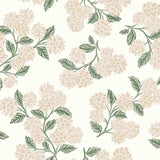 Wallpaper Hydrangea Wallpaper // Beige & Pink