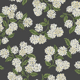 Wallpaper Hydrangea Wallpaper // Black & White