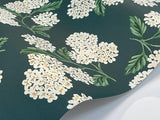 Wallpaper Hydrangea Wallpaper // Blue