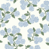 Wallpaper Hydrangea Wallpaper // Blue & White