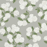 Wallpaper Hydrangea Wallpaper // Grey