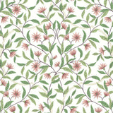 Wallpaper Jasmine Wallpaper // Coral