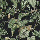 Wallpaper Jungle Cat Wallpaper // Black