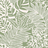 Wallpaper Jungle Leaves Wallpaper // Green