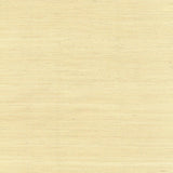 Wallpaper Jute Wallpaper // Beige
