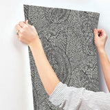 Wallpaper Kashmir Dreams Paisley Wallpaper // Black