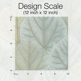 Wallpaper Leaf Concerto Peel & Stick Wallpaper // Turquoise