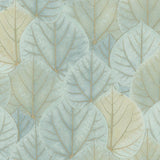 Wallpaper Leaf Concerto Peel & Stick Wallpaper // Turquoise