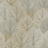 Wallpaper Leaf Concerto Peel & Stick Wallpaper // Warm Taupe