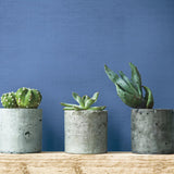 Wallpaper Linen Crosshatch Paintable Wallpaper // White