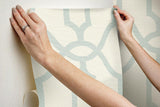 Wallpaper Magnolia Home Woven Trellis Peel & Stick Wallpaper // Beige & Blue