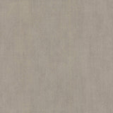 Wallpaper Mirage Wallpaper // Warm Grey