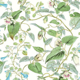 Wallpaper Moon Flower Wallpaper // White